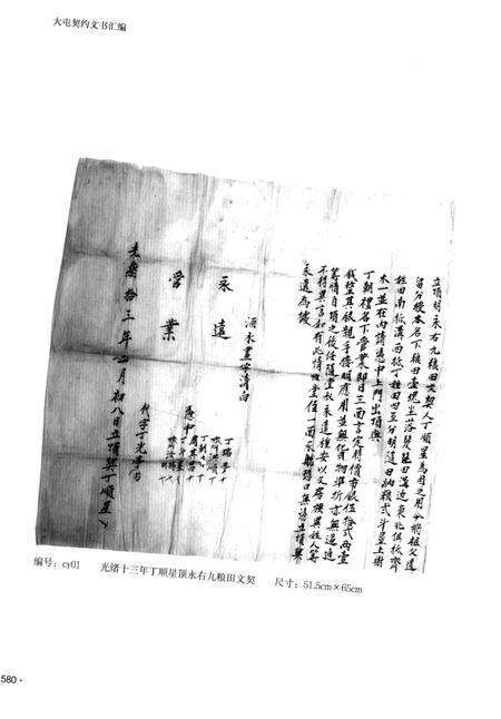 大屯契约文书汇编下册.pdf电子版_贵州省志预览图5