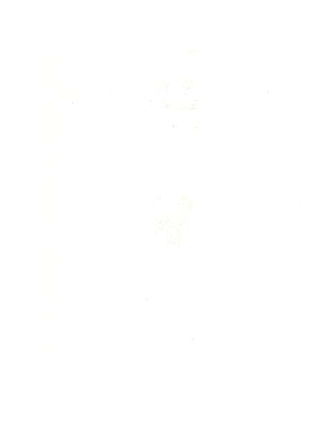 嵩岳文献丛刊（第一册）.pdf电子版_河南省志预览图5