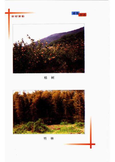 嶂青村志.pdf电子版_江苏省志预览图5