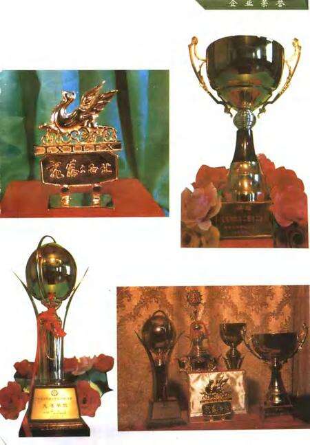 工一师二团志.pdf电子版_新疆维吾尔自治区志预览图5