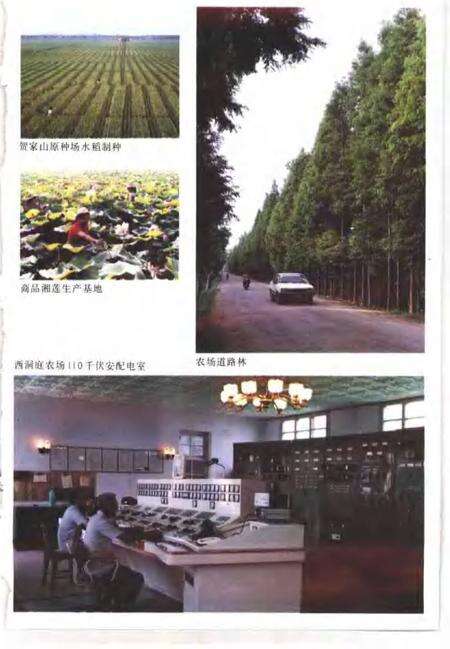 常德地区志  国营农场志.pdf电子版_湖南省志预览图5