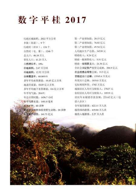 平桂年鉴第八卷2018.pdf电子版_广西壮族自治区志预览图5