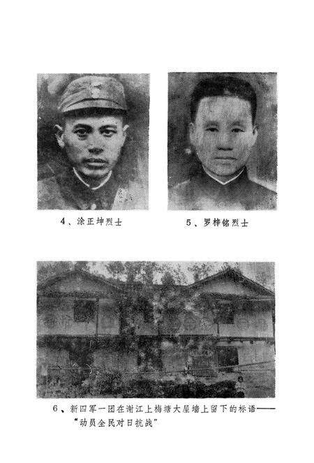 平江惨案资料汇编.pdf电子版_湖南省志预览图5