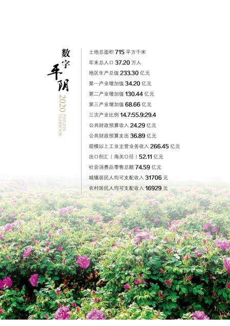 平阴年鉴2021.pdf电子版_山东省志预览图5