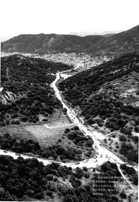 慈溪年鉴2017.pdf电子版_浙江省志预览图5