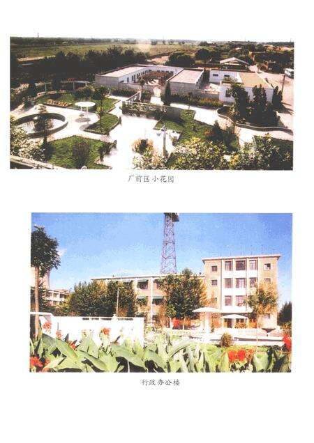 杨柳青发电厂志  1958—1988.pdf电子版_天津市志预览图5