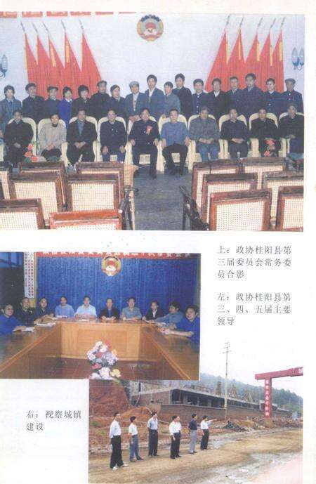 桂阳县政协志1989-2000.pdf电子版_湖南省志预览图5