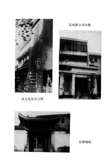 武义县文化志.pdf电子版_浙江省志预览图5