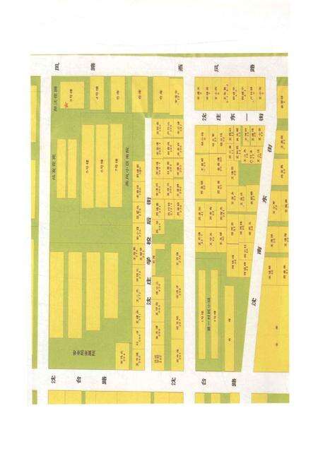 沈庄村志家谱.pdf电子版_河南省志预览图5