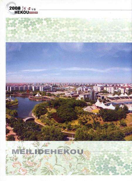 河口年鉴(2008).pdf电子版_山东省志预览图5