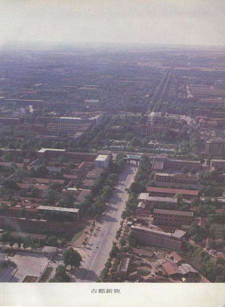 洛阳市公共交通志.pdf电子版_河南省志预览图5