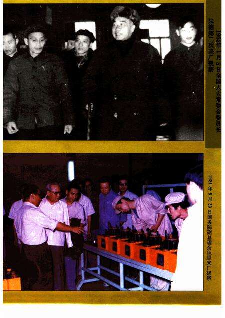 济南柴油机厂志  1920-1987.pdf电子版_山东省志预览图5