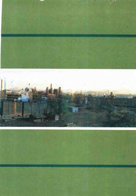 济南铁厂志  第1卷  1957-1985.pdf电子版_山东省志预览图5