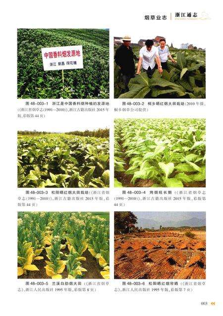 浙江通志  第48卷  烟草业志-《浙江通志》编纂委员会编-杭州：浙江人民出版社.pdf电子版_浙江省志预览图5