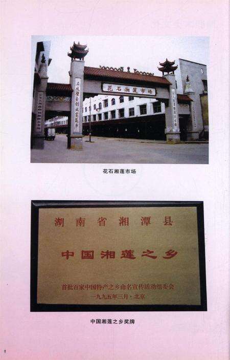 湖湘本土文化·花石文史.pdf电子版_湖南省志预览图5