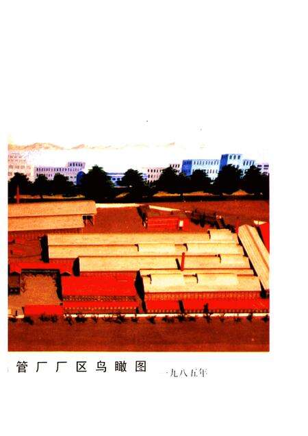 烟台钢管厂志  1949-1985.pdf电子版_山东省志预览图5