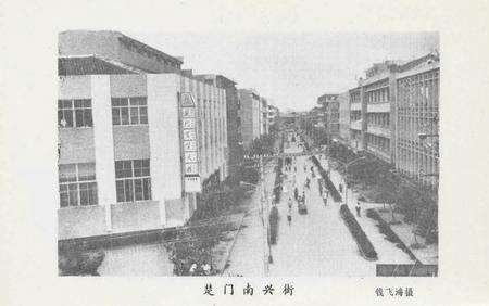 玉环文史资料 选辑.pdf电子版_浙江省志预览图5