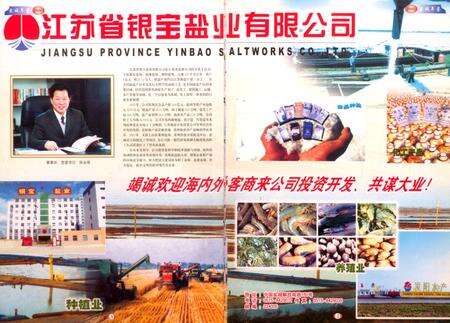 盐城年鉴 2003.pdf电子版_江苏省志预览图5