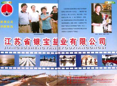 盐城年鉴 2005.pdf电子版_江苏省志预览图5