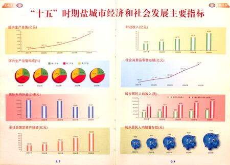 盐城年鉴 2006.pdf电子版_江苏省志预览图5