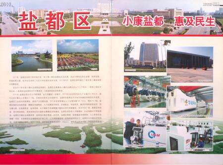 盐城统计年鉴 2012.pdf电子版_江苏省志预览图5