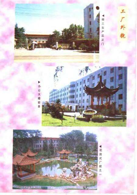 石家庄棉三厂志  1954年-1993年.pdf电子版_河北省志预览图5