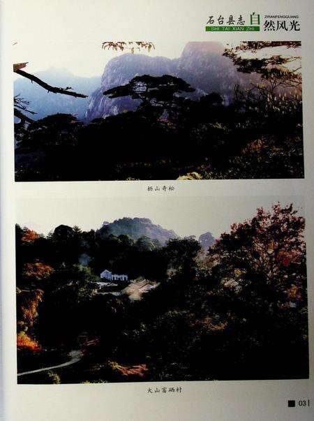 石台县志（1986-2008）.pdf电子版_安徽省志预览图5