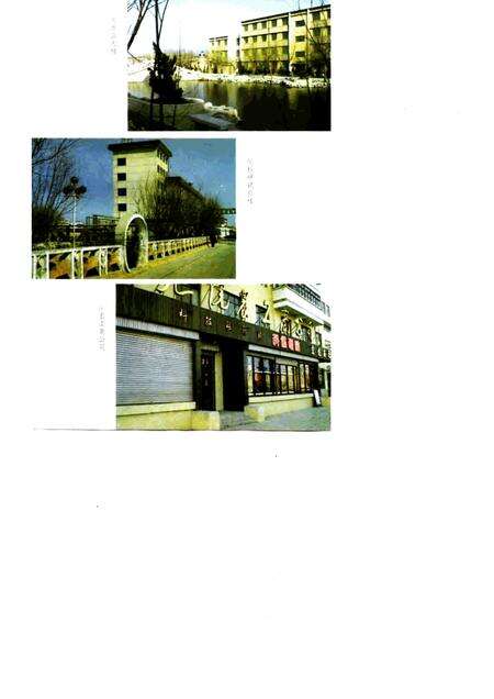 胜利石油管理局钻井工艺研究院志  1973-1990.pdf电子版_山东省志预览图5