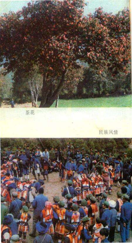 腾冲风情录.pdf电子版_云南省志预览图5