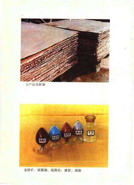 莱钢冶炼厂志  第1卷  1966-1985.pdf电子版_山东省志预览图5