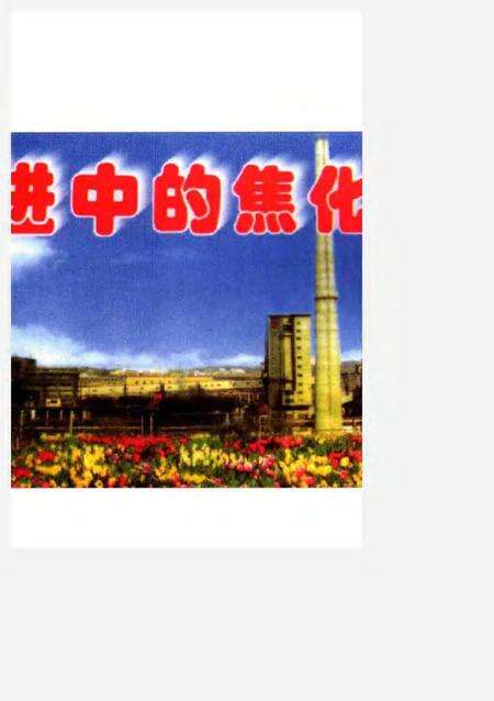 莱钢志  焦化厂志  1996-2000.pdf电子版_山东省志预览图5