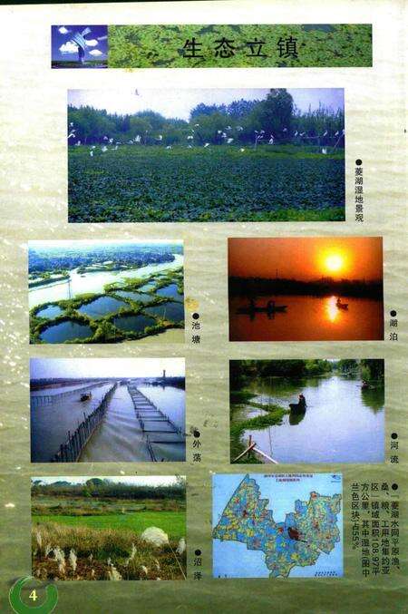 菱湖镇志-上.pdf电子版_浙江省志预览图5