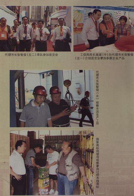 蒙自文史资料（第十四辑）.pdf电子版_云南省志预览图5