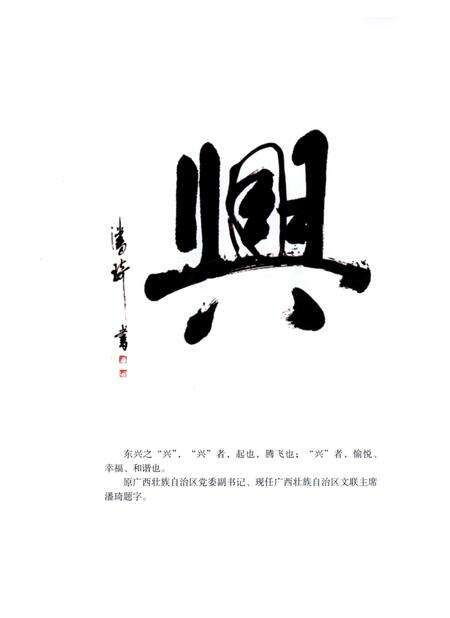 走进寿乡–东兴.pdf电子版_广西壮族自治区志预览图5