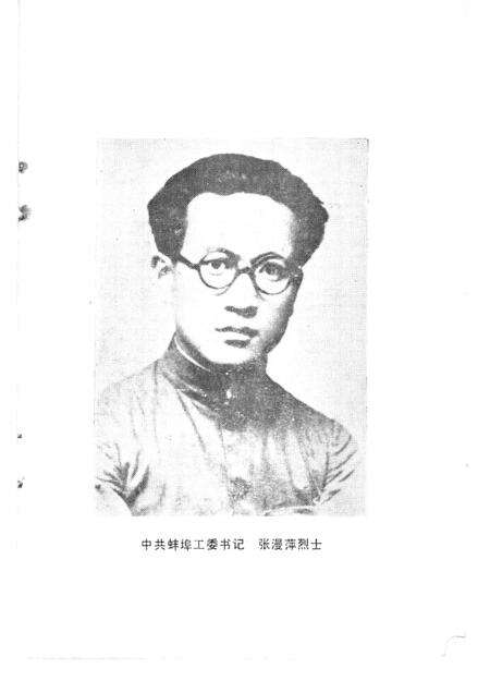 蚌埠党史资料  第4辑.pdf电子版_安徽省志预览图5