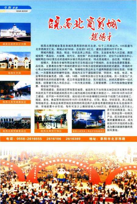 阜阳年鉴 2005.pdf电子版_安徽省志预览图5