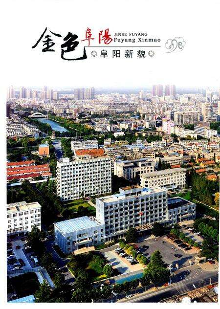 阜阳年鉴 2014.pdf电子版_安徽省志预览图5