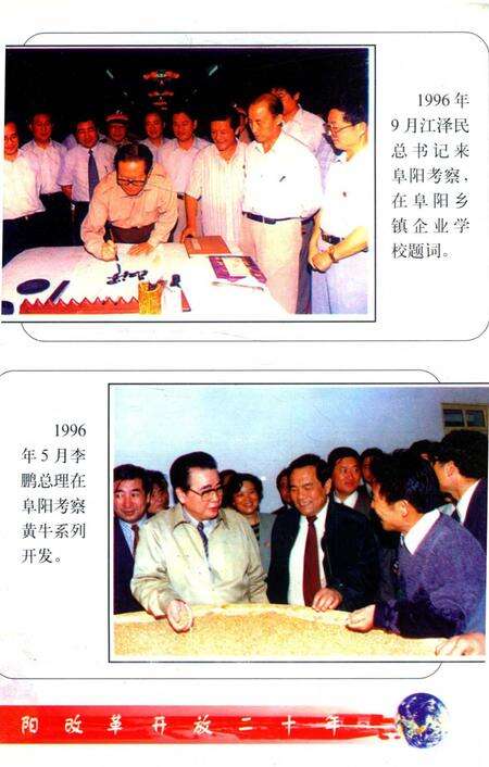 阜阳改革开放二十年.pdf电子版_安徽省志预览图5