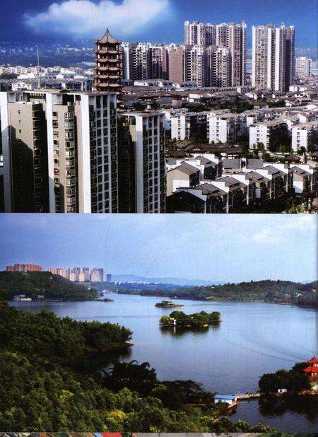 隆昌年鉴（2015）.pdf电子版_四川省志预览图5