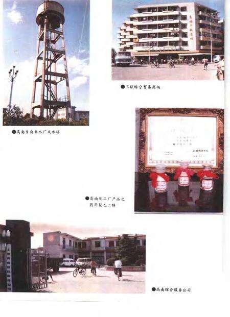 高南乡志.pdf电子版_上海市志预览图5