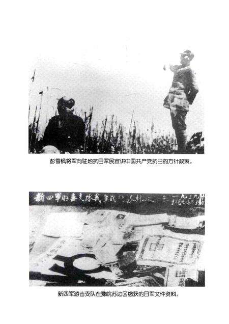 2005版抗战在宿州.pdf电子版_安徽省志预览图5