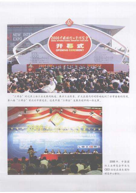 2007-上海工业商业年鉴  2007.pdf电子版_上海市志预览图5