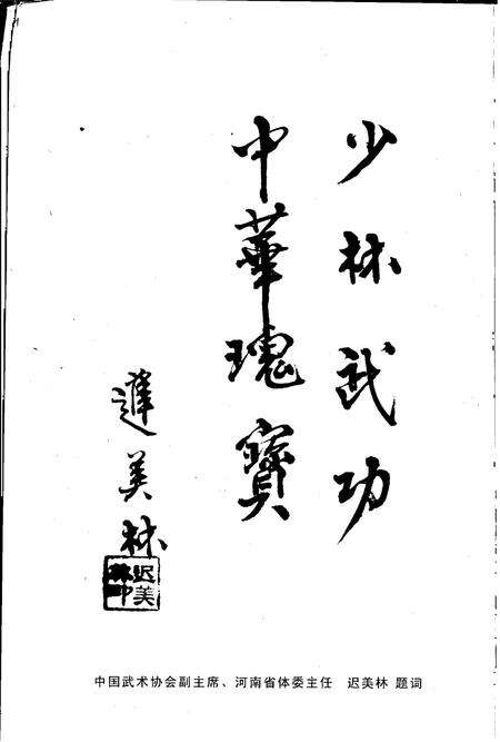 中国嵩山少林寺武术学校志.pdf电子版_河南省志预览图5