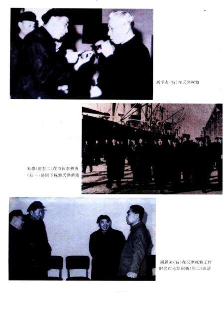 天津通志  政权志  政府卷.pdf电子版_天津市志预览图5