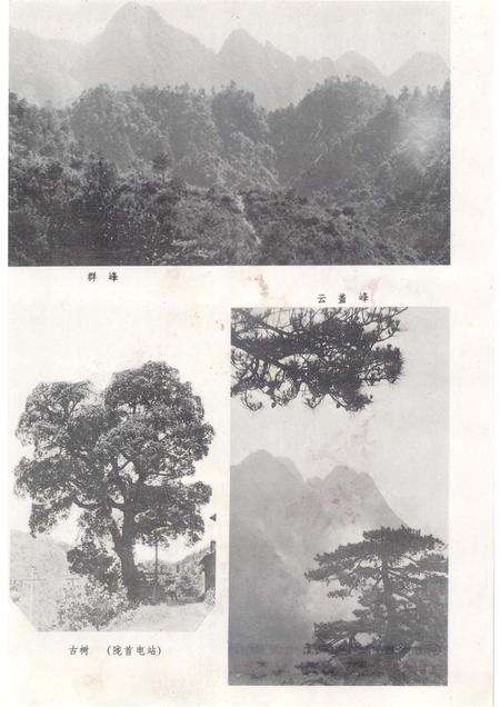 怀玉山场志.pdf电子版_其他志预览图5