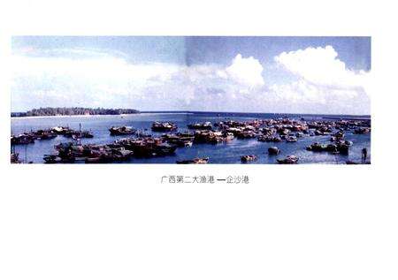 正在崛起的防城港市港口区.pdf电子版_广西壮族自治区志预览图5