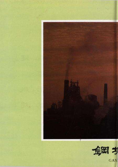 湘潭钢铁公司史料选编（第一卷）.pdf电子版_湖南省志预览图5