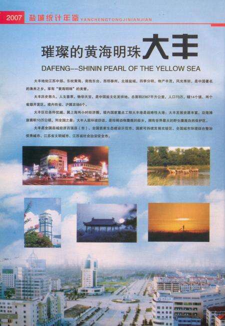 盐城统计年鉴 2007.pdf电子版_江苏省志预览图5