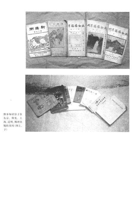 腾冲华侨诗选.pdf电子版_云南省志预览图5