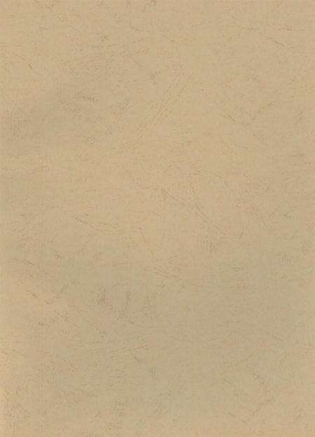 自贡年鉴2009.pdf电子版_四川省志预览图5